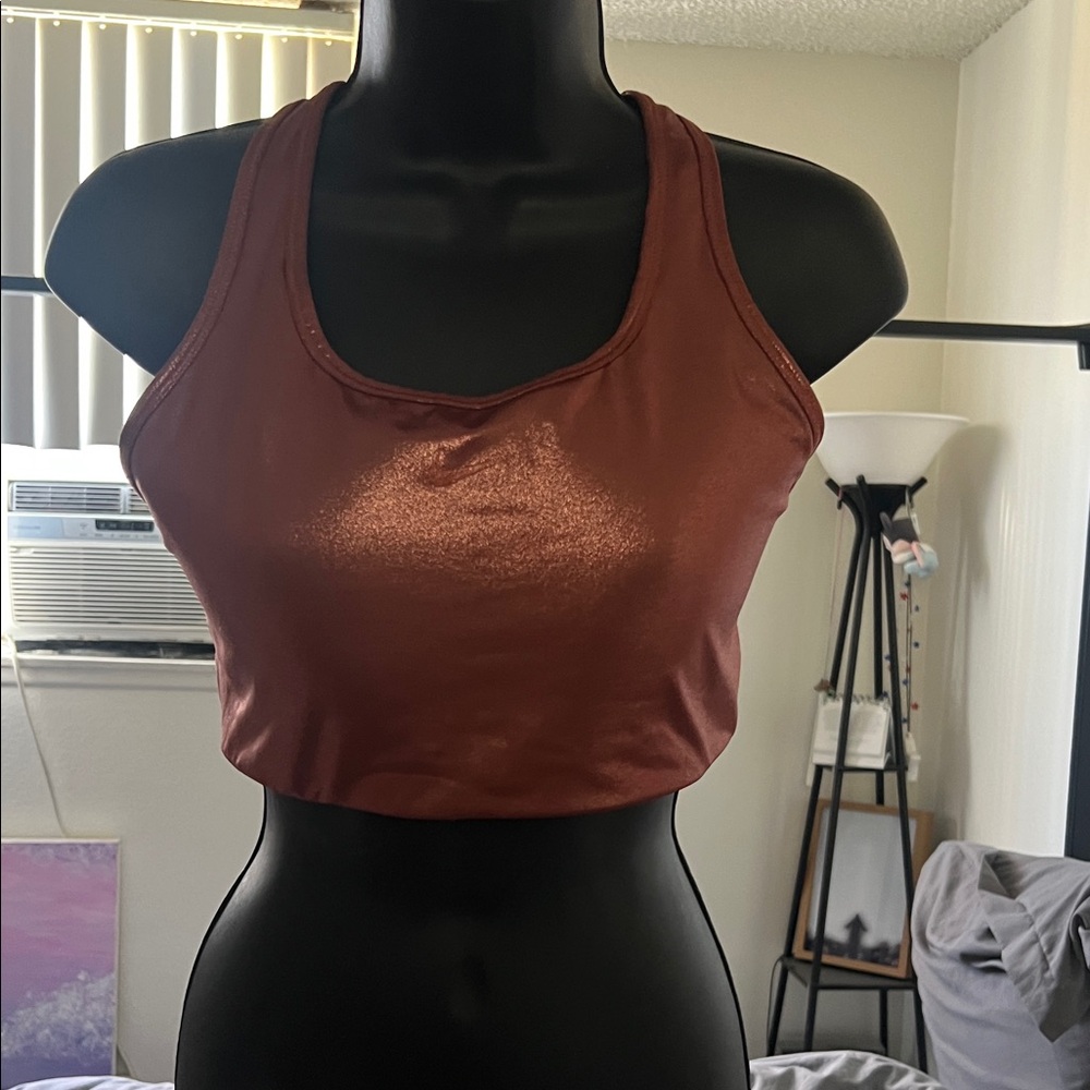 Shiny Copper Nike Sports Bra